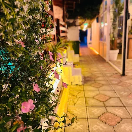 Hanci ادرميت